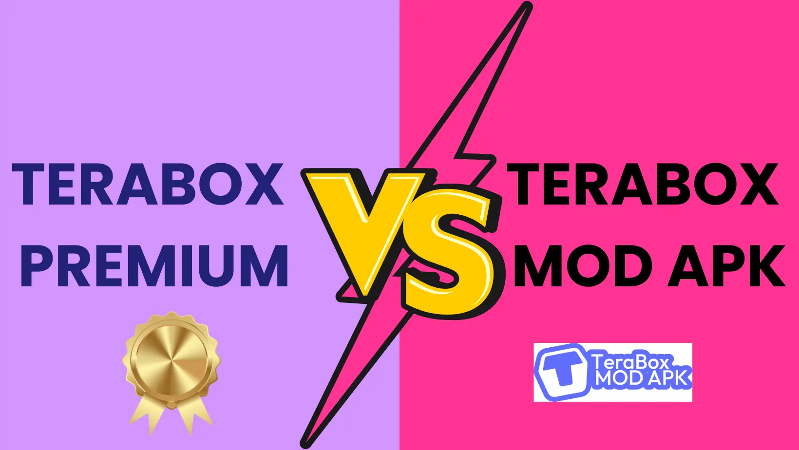 Terabox Premium Vs Terabox mod Apk